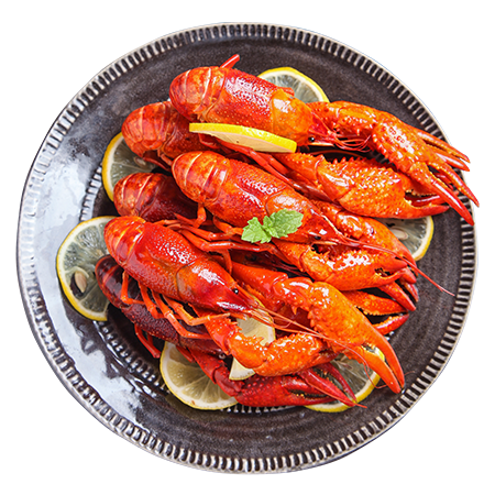crustaceans such as lobsters