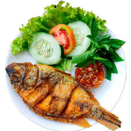pangasius or basa